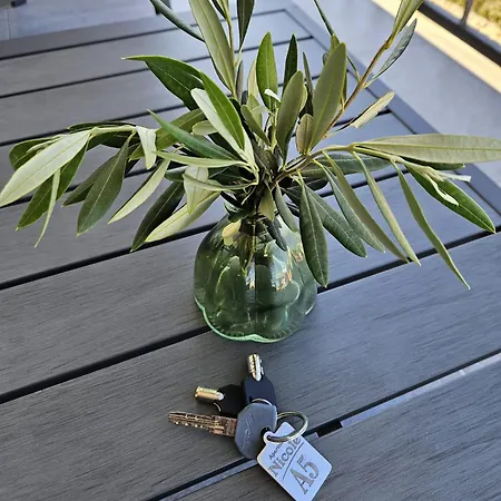 Luxury Nicole 2 Apartamento *